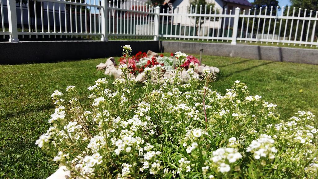 Holiday Home Bulog Sinac エクステリア 写真